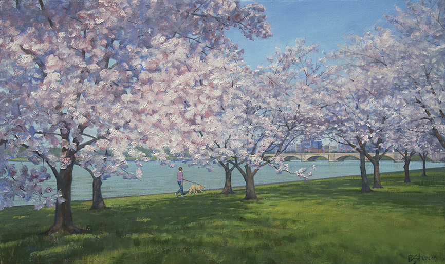 A-Heralding-of-Spring, oil painting, landscape painting, Washington DC cityscape, springtime in Washington DC,  Washington DC cherry blossom painting, girl walking under cherry trees with dog along Potomac River