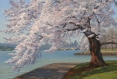 cherry blossoms, landscape painting, oil painting, Washington DC cherry blossom painting, Tidal Basin cherry blossoms, springtime in Washington DC, Washington DC cherry blossom festival