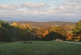 Lees Ridge, landscape painting, oil painting, virginia landscape painting, Lees Ridge Road Warrenton VA