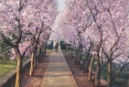 plum alley, landscape painting, oil painting,plum trees Dumbarton Oaks Washington DC, Washington DC landscape painting