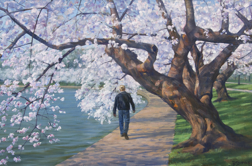 through-the-cherry-trees, landscape painting, oil painting, Washington DC cherry blossom festival, painting of man walking  under cherry trees at the Tidal Basin,