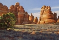 into the light, landscape painting, oil painting, Southwest landscape, Canyonlands National Park Utah, national park painting, desert landscape, red rock formations