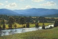 light on the blackfoot, landscape painting, oil painting, Western landscape, Blackfoot River, Montana landscape